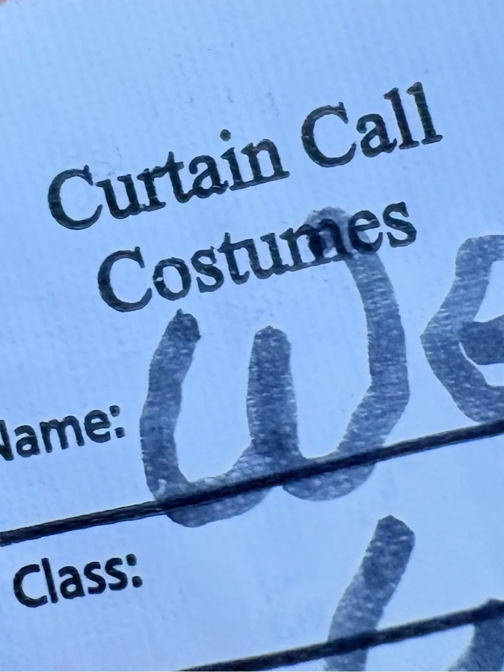 Curtain Call Girls Ballet Costume Tutu Dance Recital Large